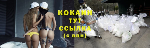 дмт Мегион