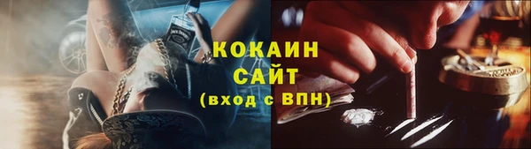 дмт Мегион