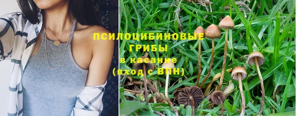 ПСИЛОЦИБИНОВЫЕ ГРИБЫ Медвежьегорск
