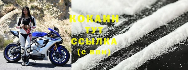 ECSTASY Медногорск