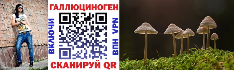 Псилоцибиновые грибы Psilocybine cubensis  Иркутск 