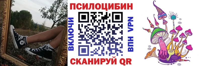 Псилоцибиновые грибы Psilocybe Иркутск
